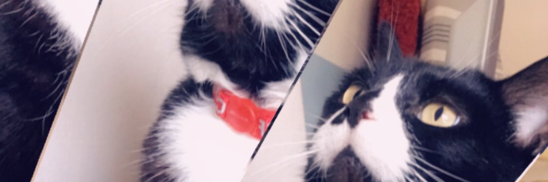 MadnessXD69's profile banner image