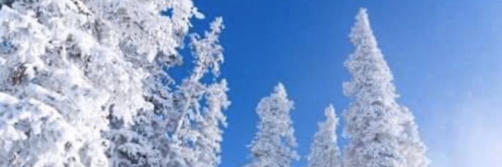DaltonEdu's profile banner image