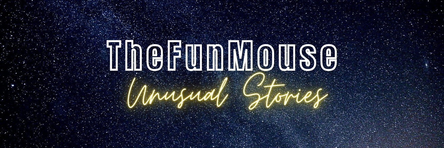 TheFunMouse's profile banner image