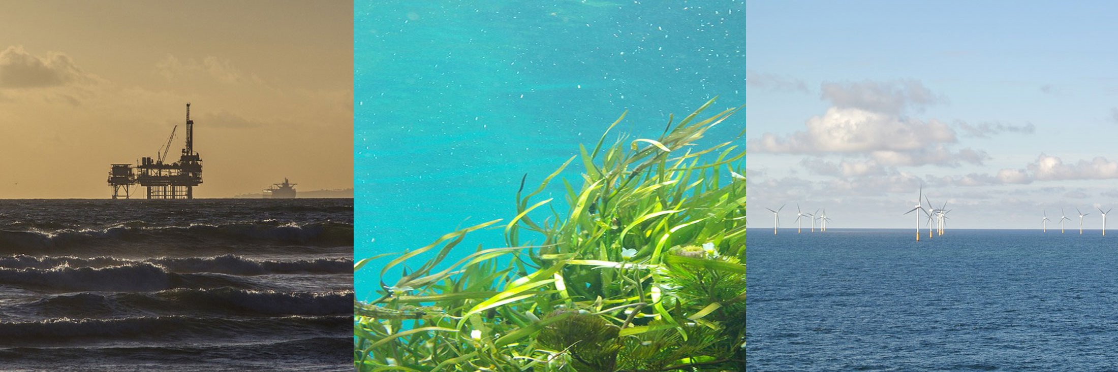 OffshoreVäst banner