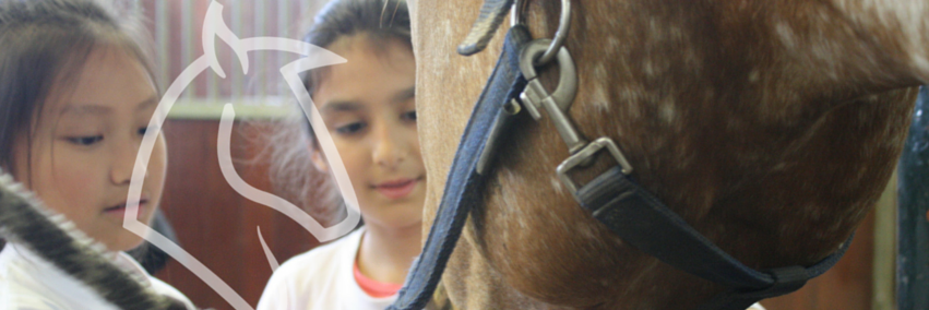 werkenaepaard's profile banner image