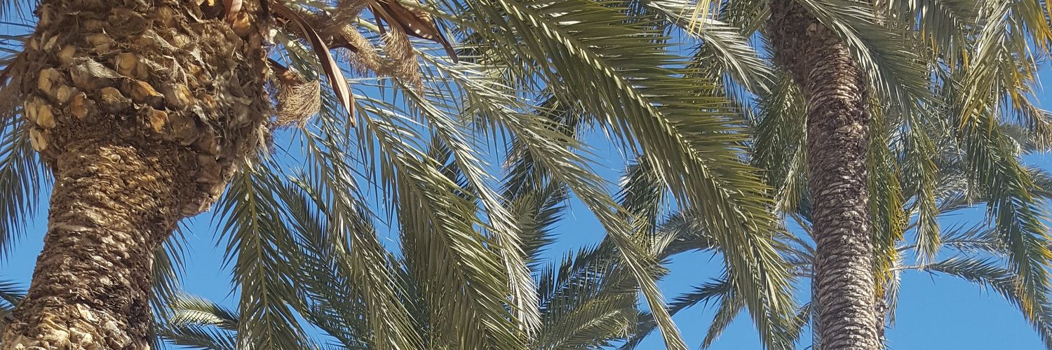 HollaCorina's profile banner image