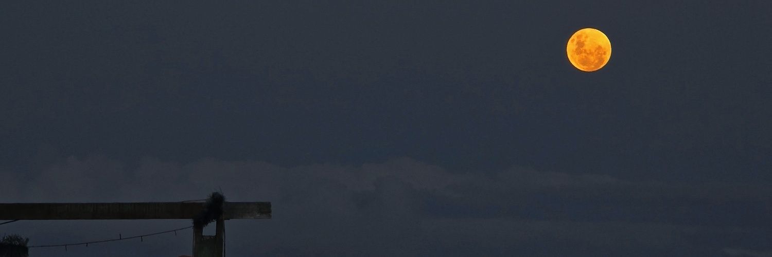 Misakihime97's profile banner image