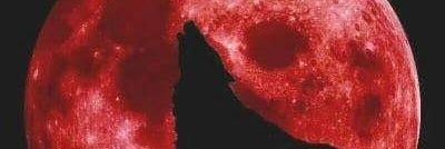 PeterGraves3825's profile banner image