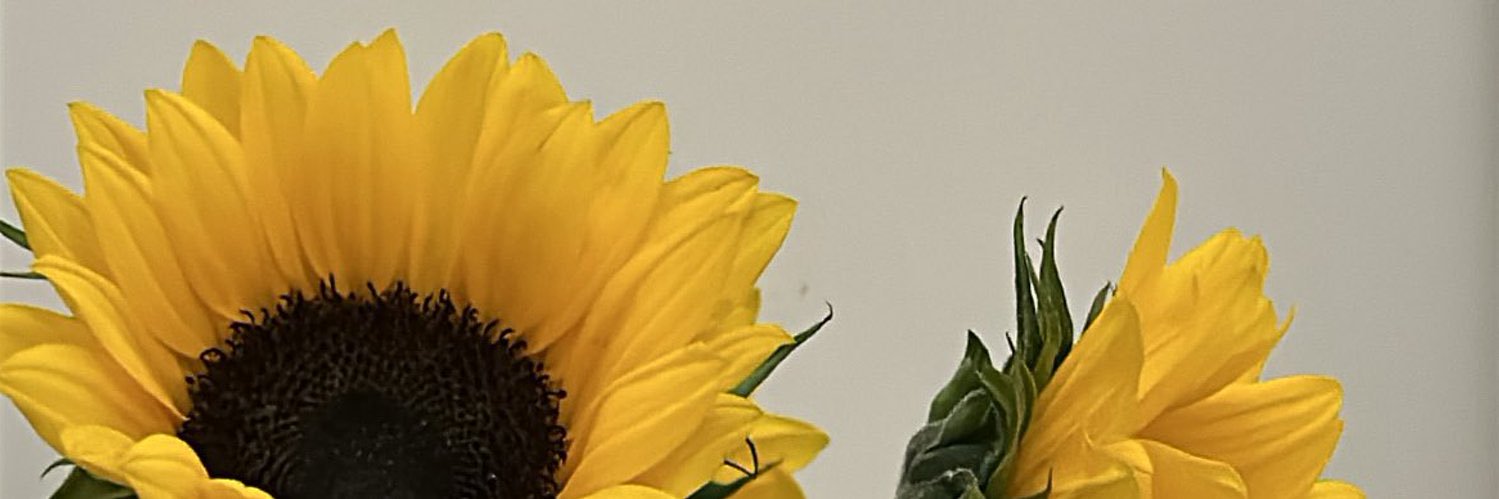 7iil1q's profile banner image