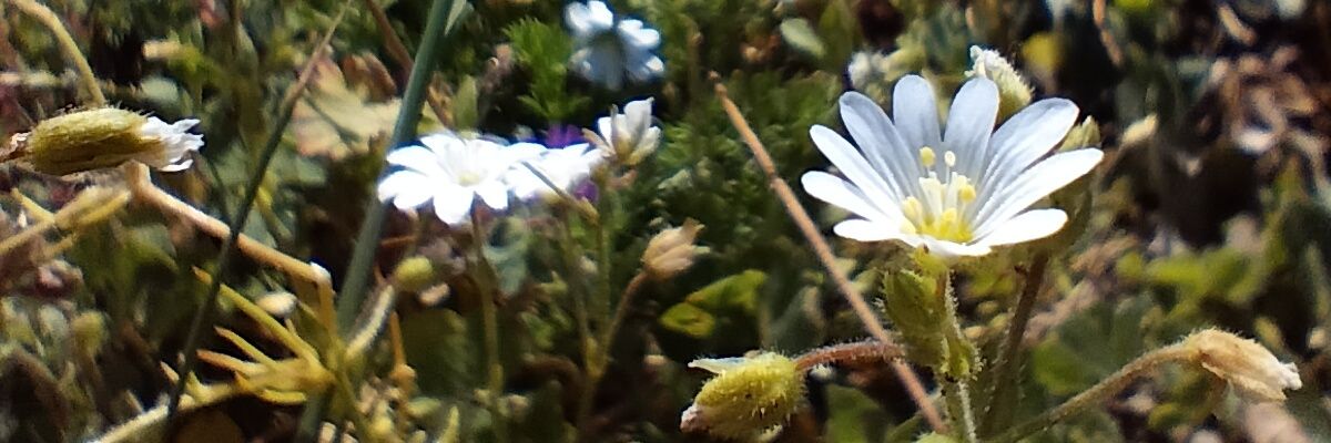 sidzona's profile banner image