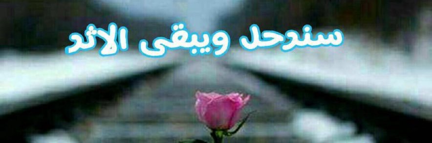 abualfda's profile banner image
