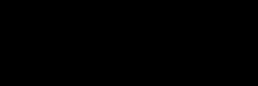 Marcello Richa banner