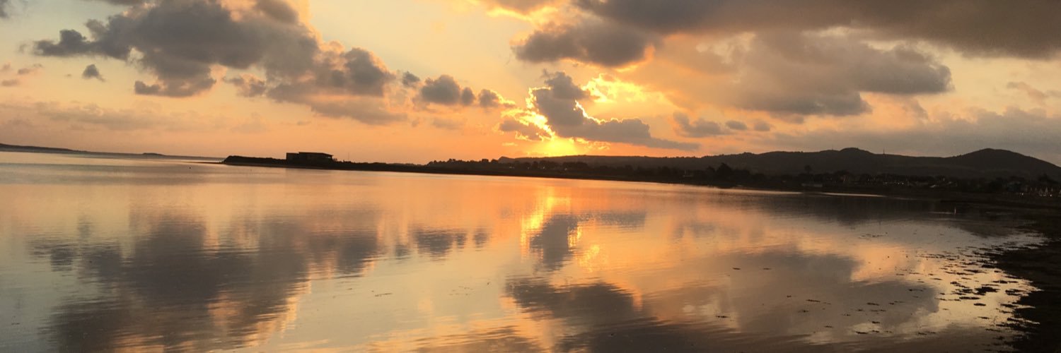 Linda FitzGerald banner