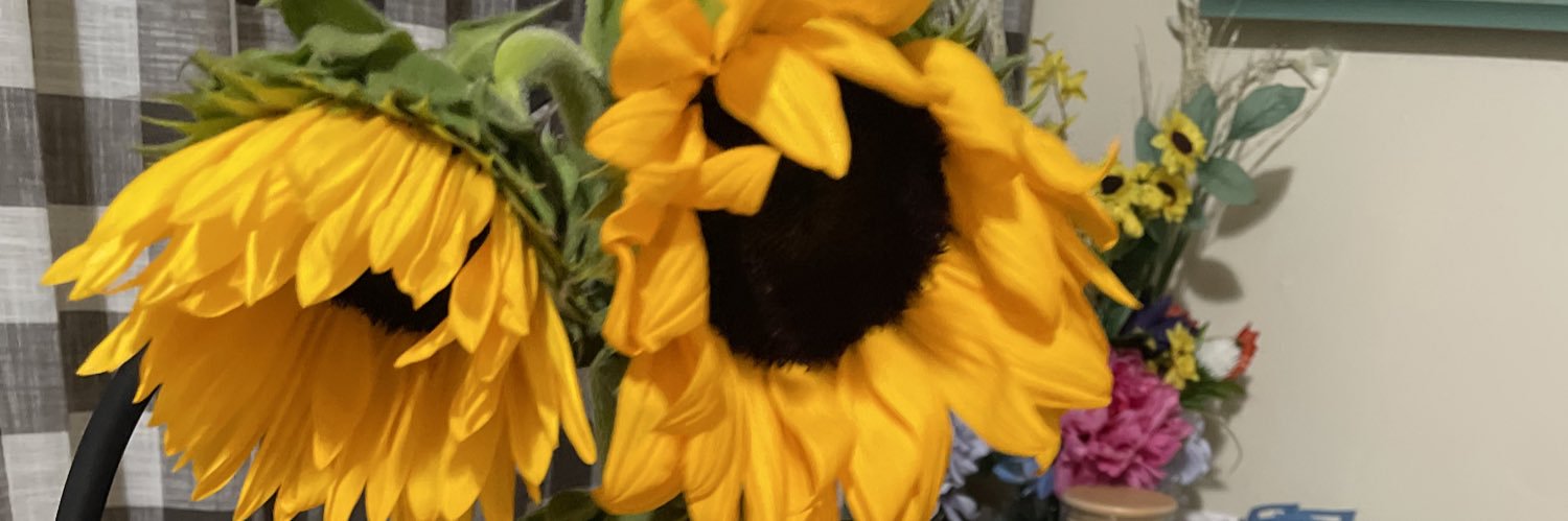 _lori_loo_'s profile banner image