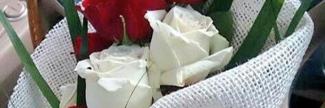 lo_velya's profile banner image
