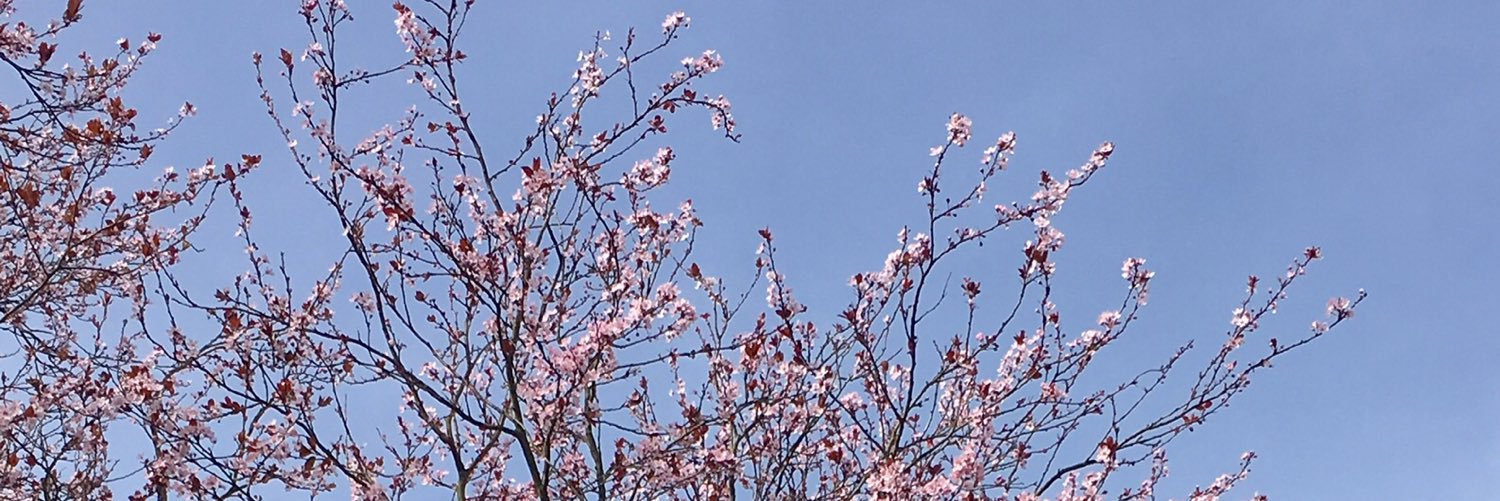 Sandy_S_K's profile banner image