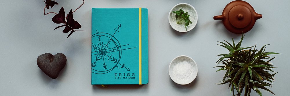 Think Trigg banner