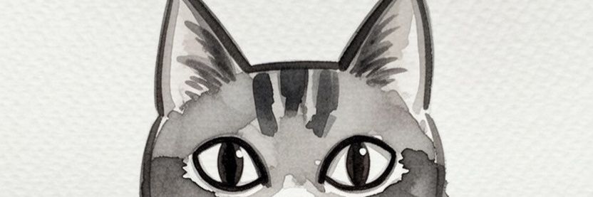 cemalkancax's profile banner image