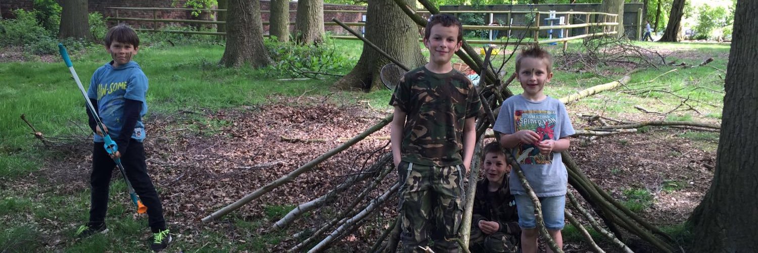 Into the Wild banner