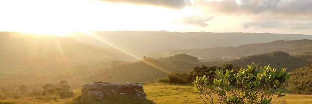 lnandofelipe's profile banner image