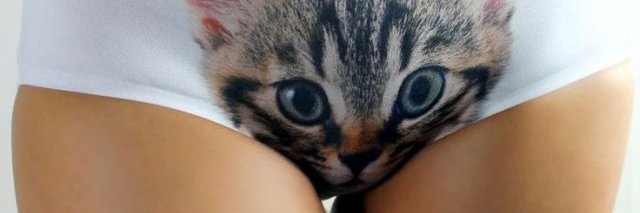 Caturbate's profile banner image