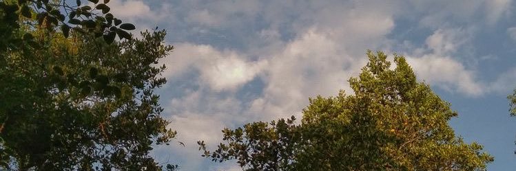 Fuente Clara banner