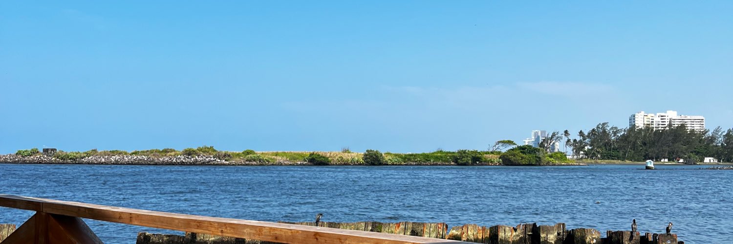EvsMerino's profile banner image