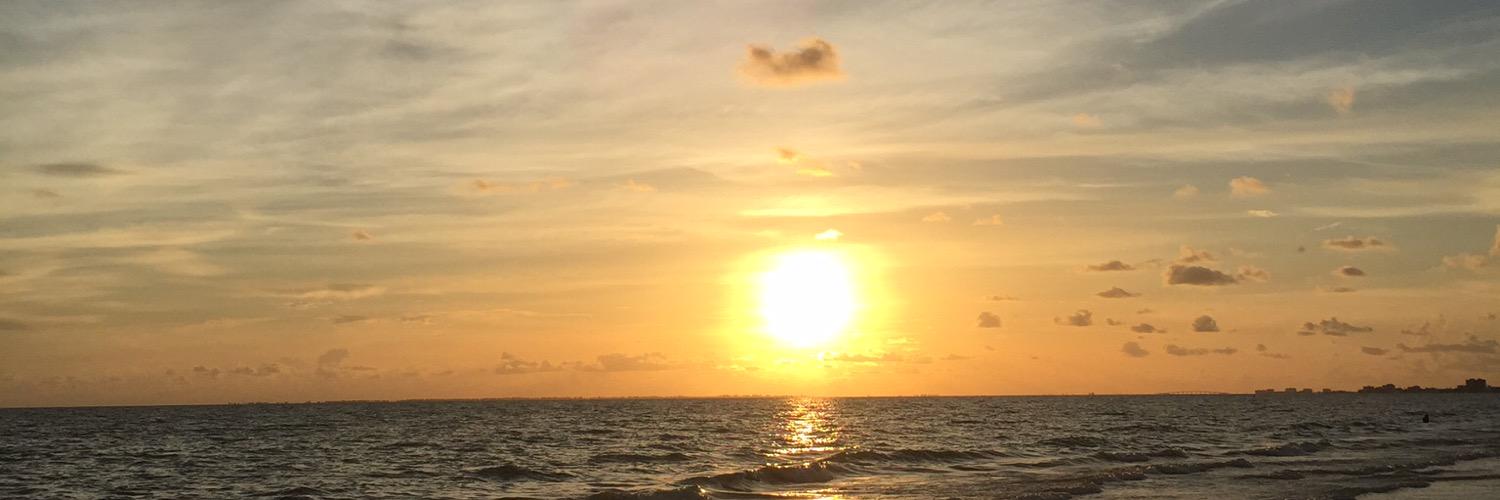 AllyRave's profile banner image
