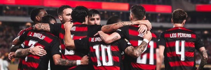luisassous's profile banner image