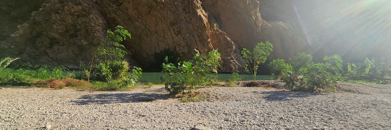 𝓢l🌿 banner