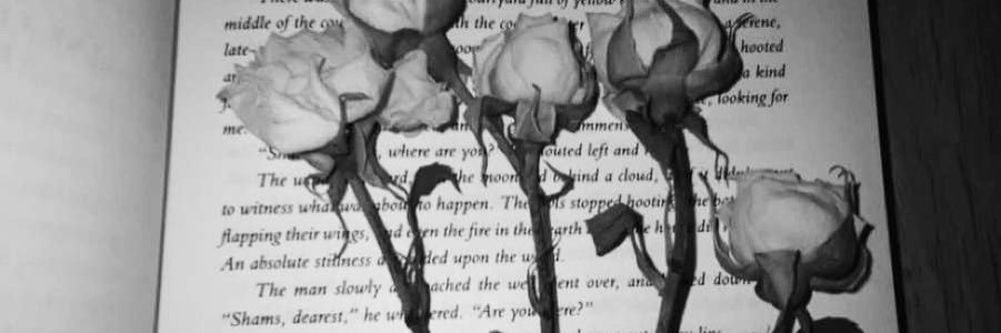 Waad123W's profile banner image