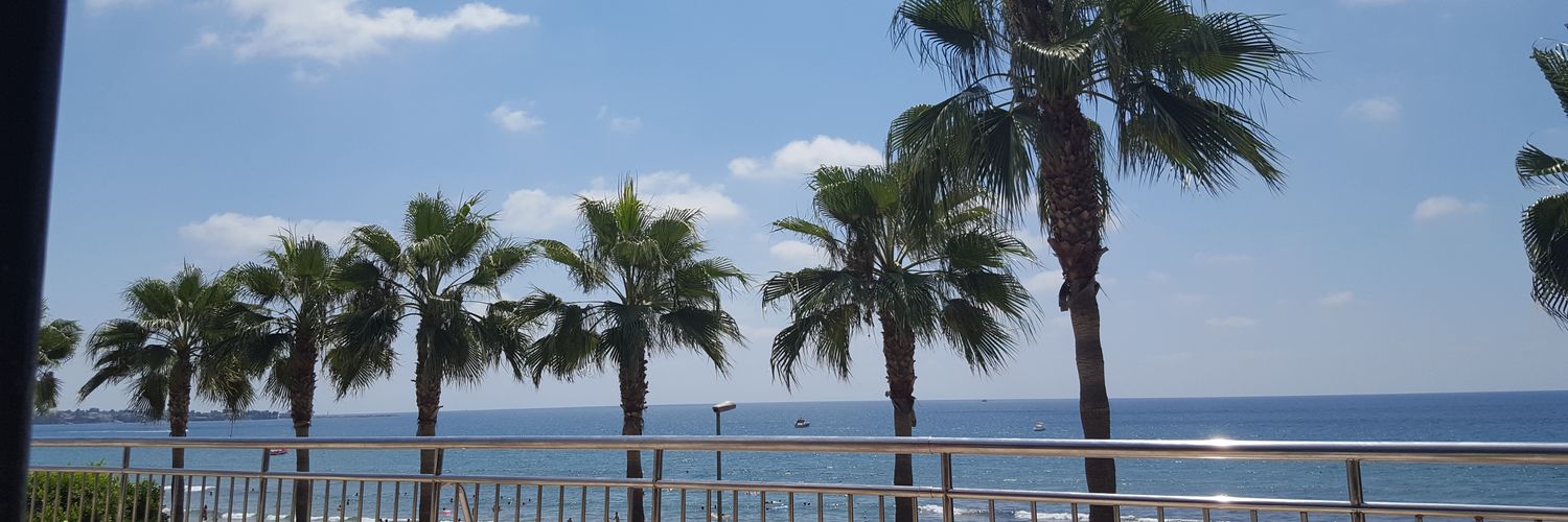 hollybreak's profile banner image