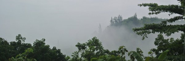 alxrbnson Profile Banner