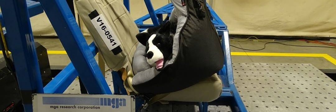 PupSaver1's profile banner image