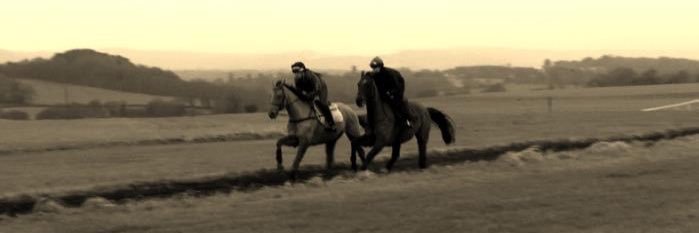 PointToPoint Jockeys banner