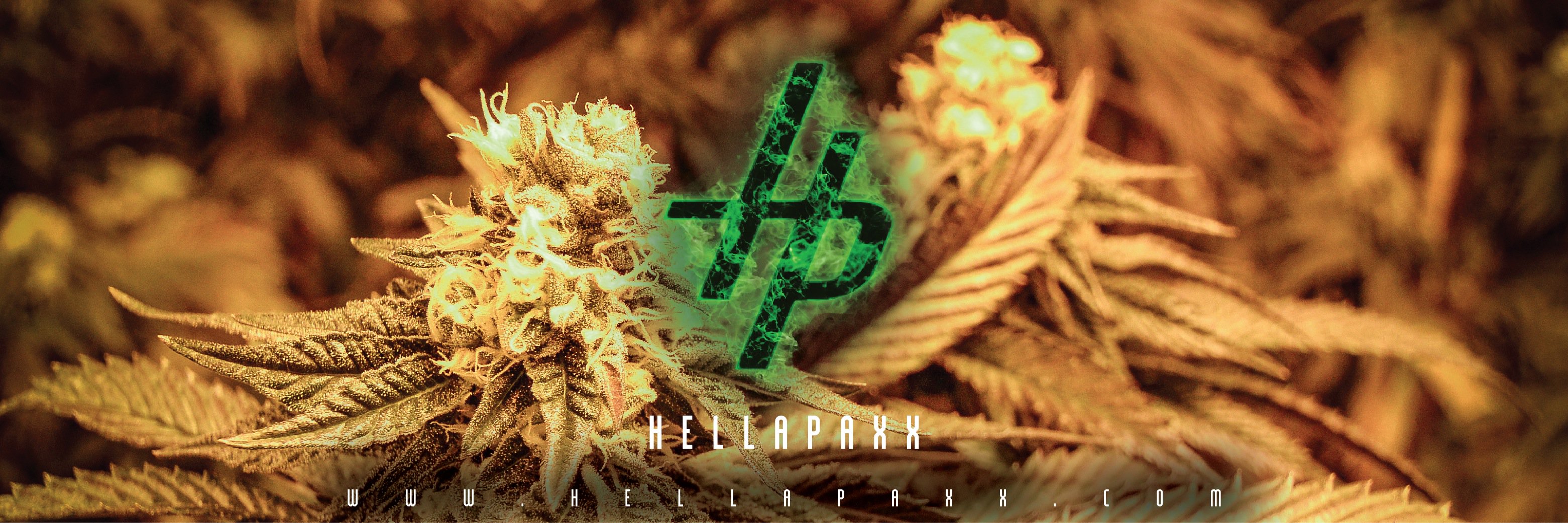 Hp Cannabis Club banner