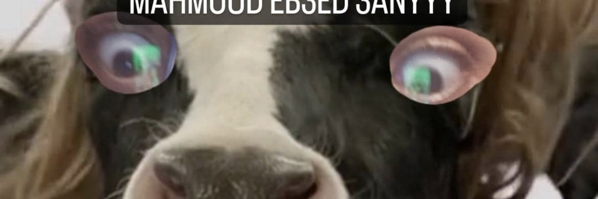 nour banner