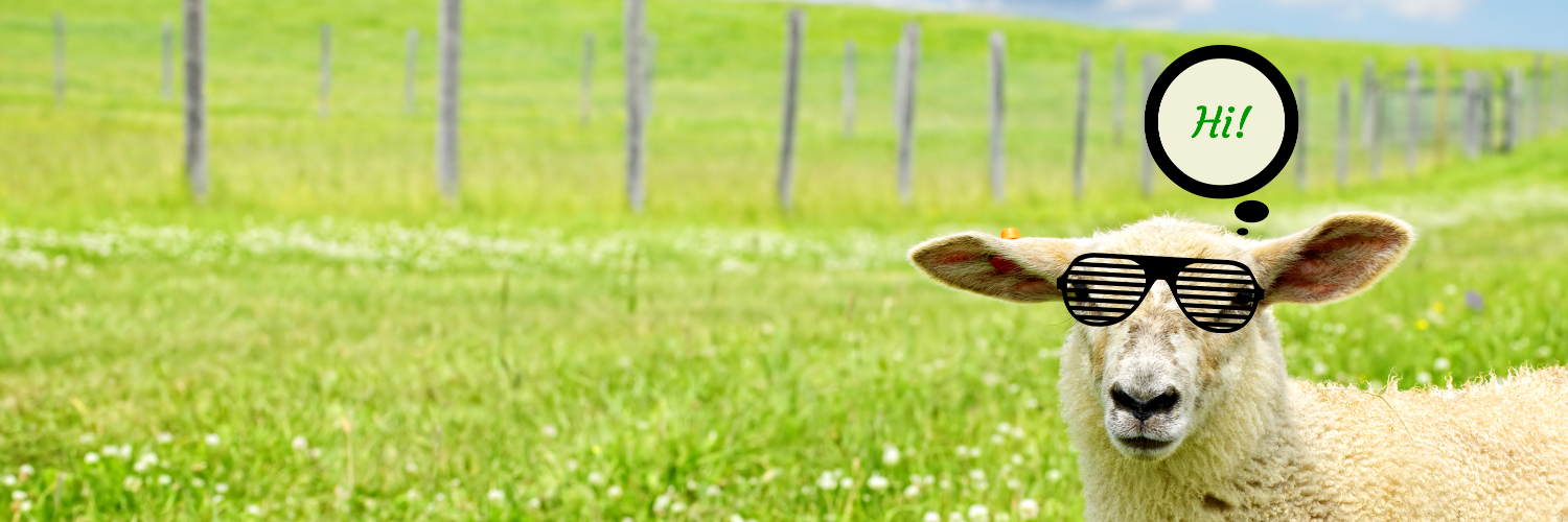 RichBestOnline's profile banner image