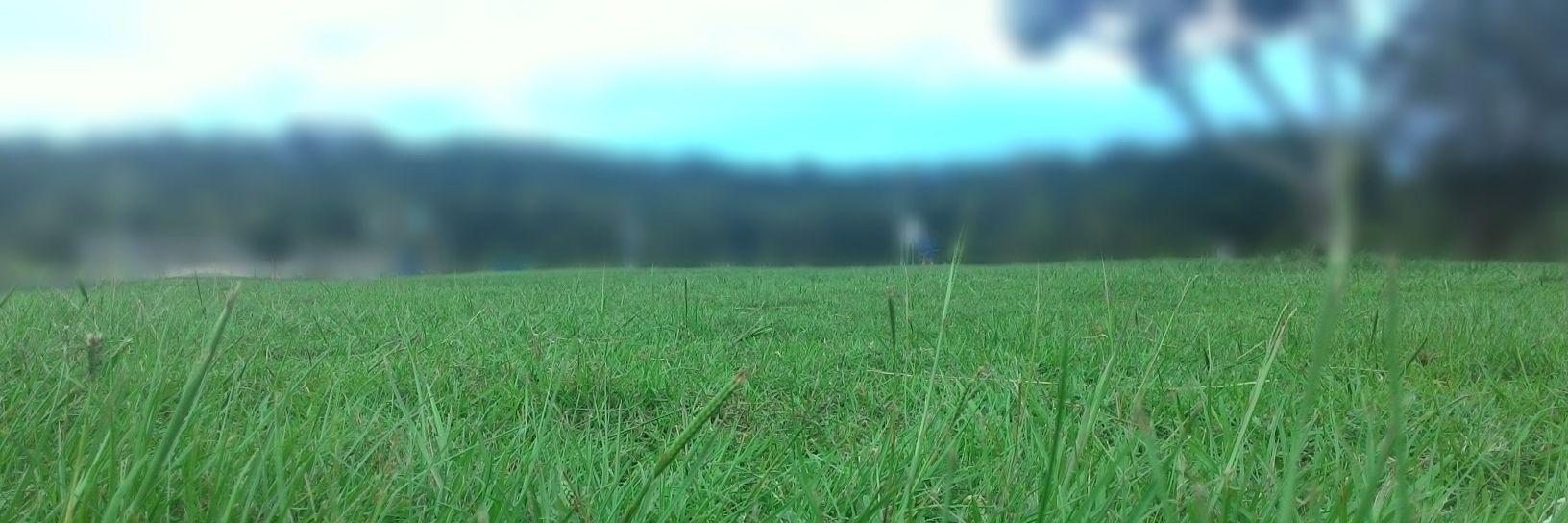 appaism's profile banner image