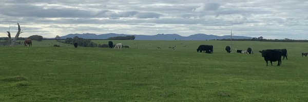 PeterRobins350 Profile Banner