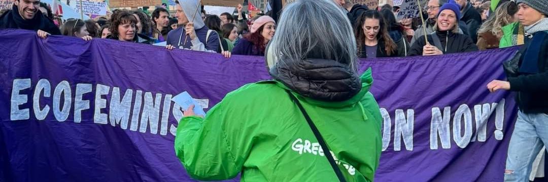 Nadia Cornejo banner