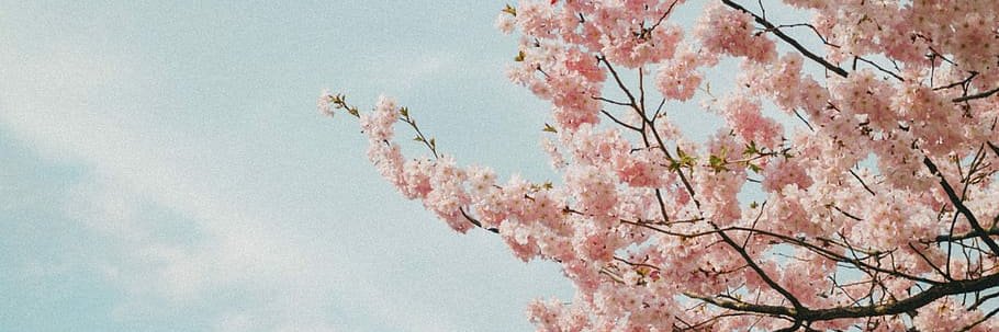 barcode76's profile banner image