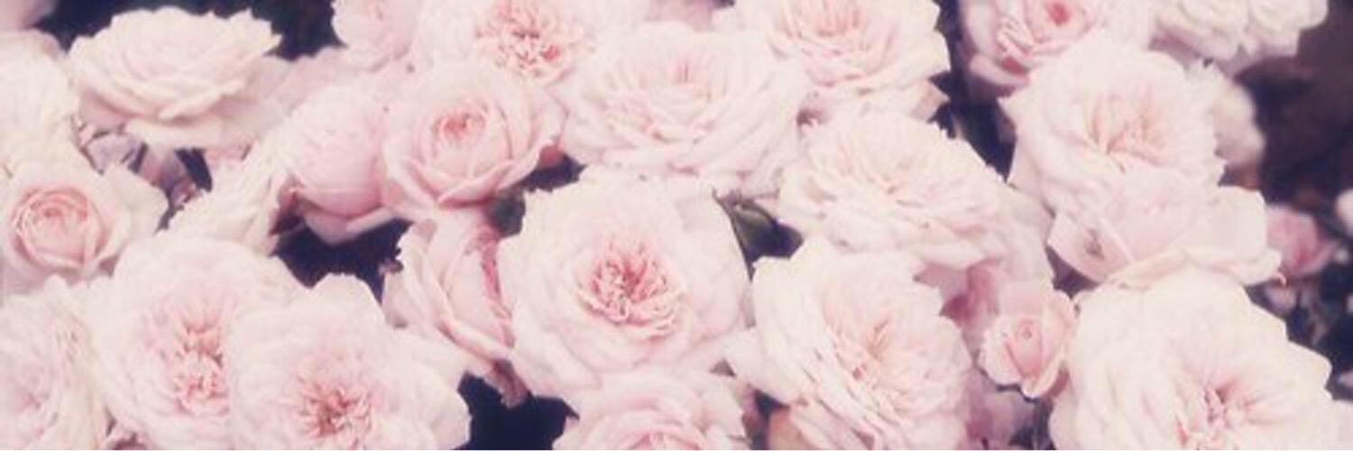 HayleyBlom's profile banner image