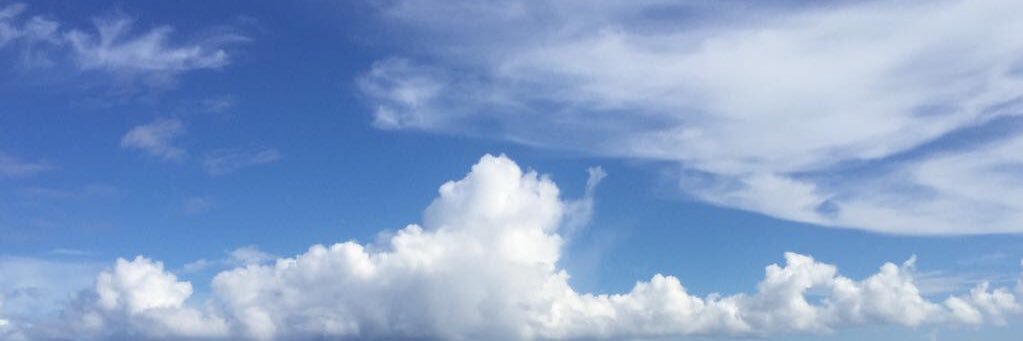 VickyGrimes_'s profile banner image