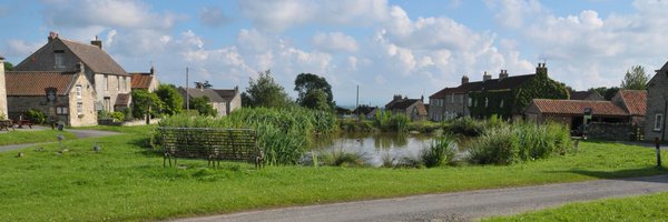 beelinebb Profile Banner