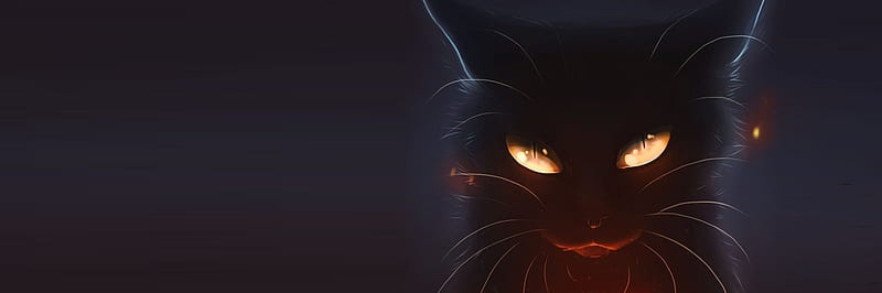 CoffeeCat_z's profile banner image