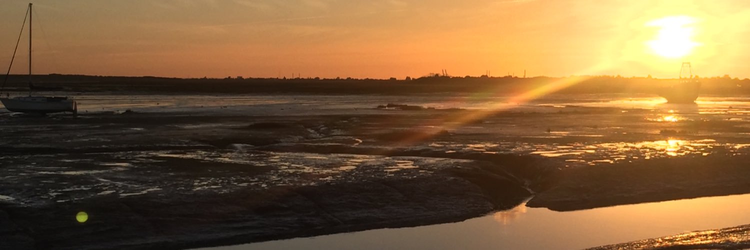 Robert Hammond banner