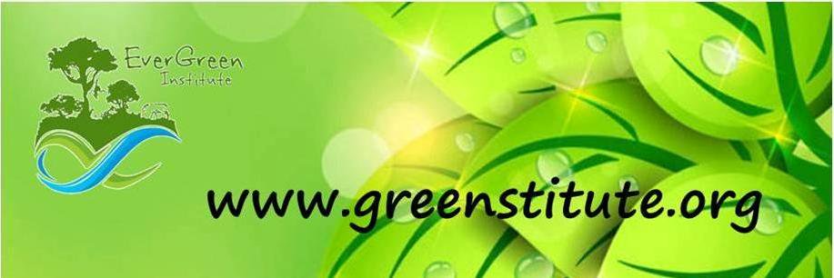 EverGreen Institute banner