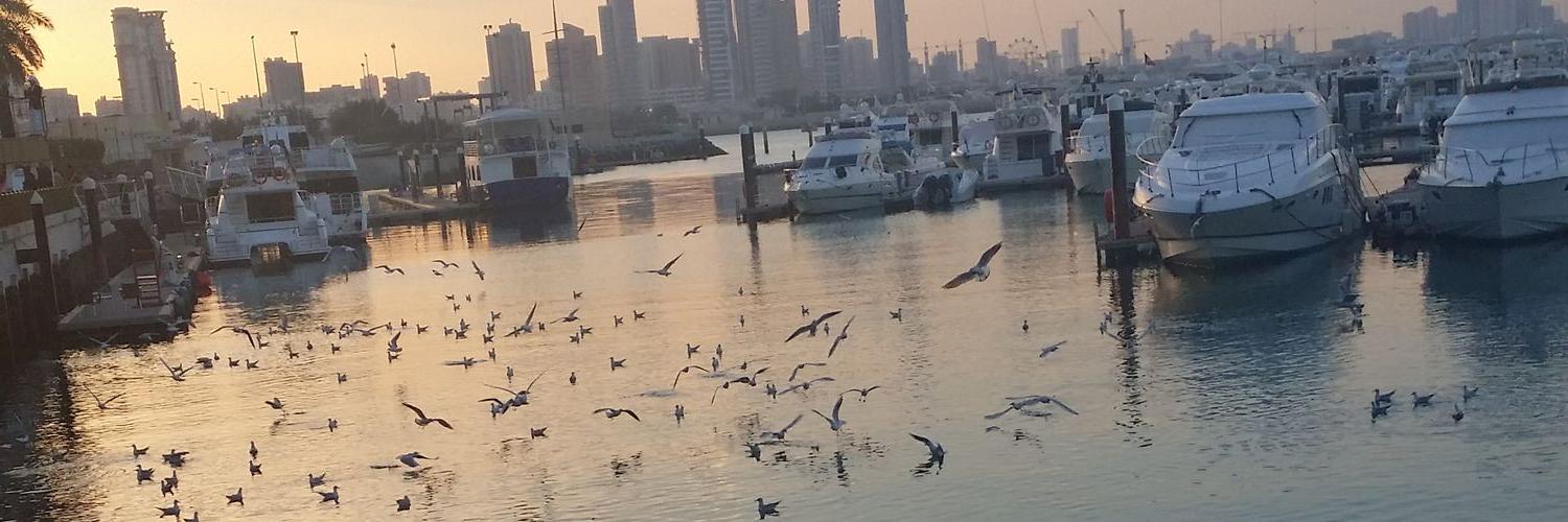 basomalmohimeed's profile banner image