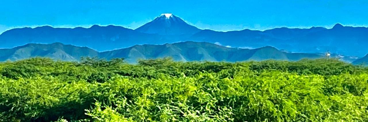 manulozano1233's profile banner image
