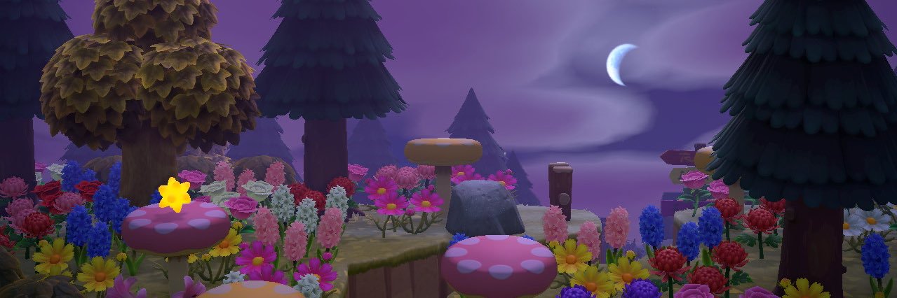 zephydreams's profile banner image