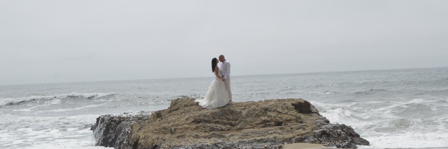 Tiffany Brewster banner