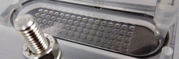 Alexander_Iles Profile Banner