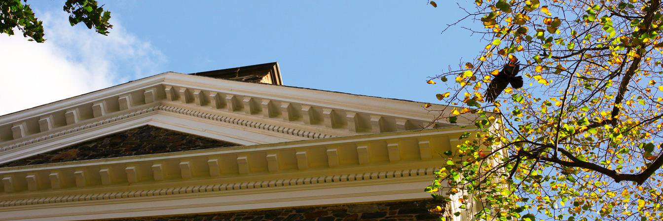 DalChancellor's profile banner image
